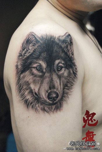 男人手臂经典超帅的黑白狼头纹身图案