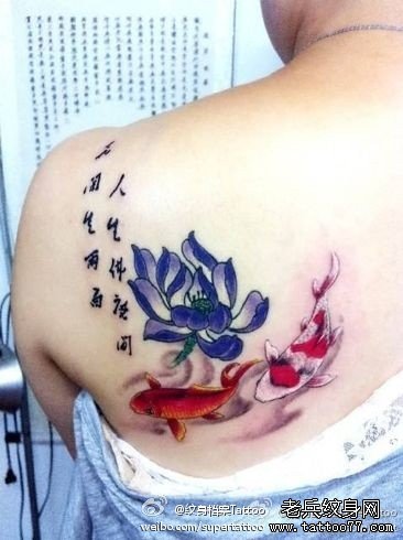 女生后背漂亮唯美的莲花鲤鱼纹身图案_武汉纹