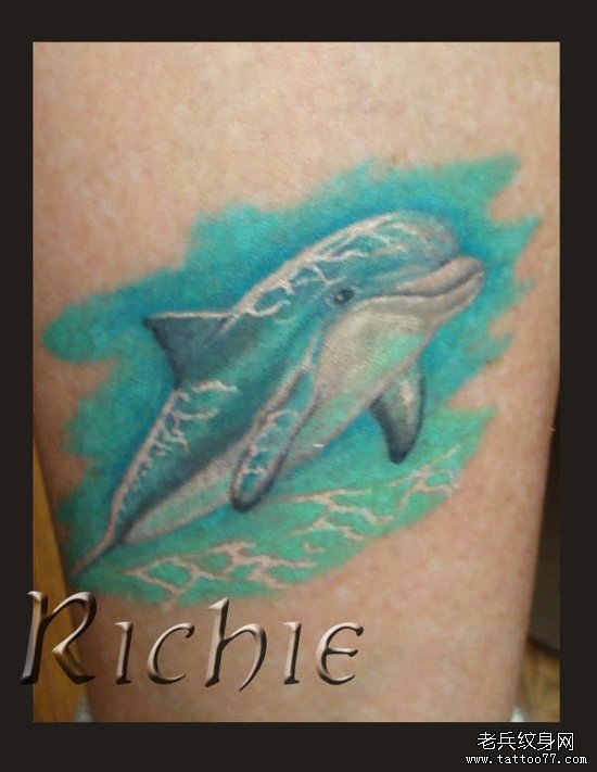 腿部好看经典的海豚纹身图案