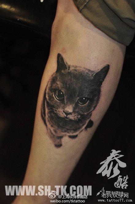 男生腿部经典的黑灰猫咪纹身图案