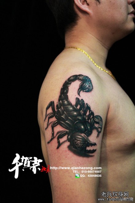 手臂超酷帅气的蝎子纹身图案