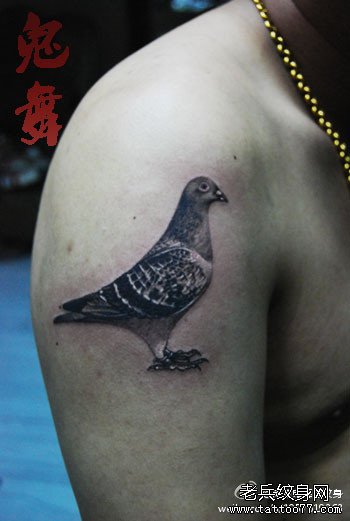 手臂潮流经典的一款鸽子纹身图案