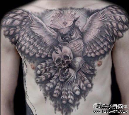 男人前胸超帅的黑灰猫头鹰纹身图案