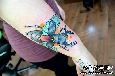 手臂漂亮潮流的一款小甲虫纹身图案