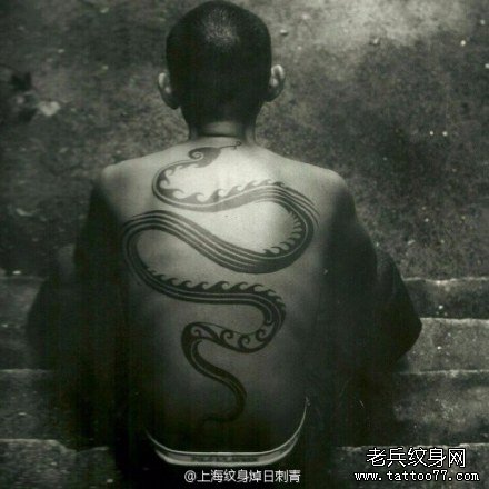 男生后背潮流经典的图腾蛇纹身图案