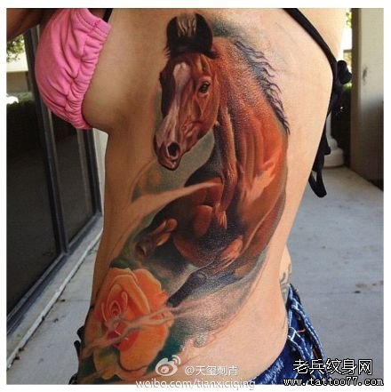 美女侧腰精美的欧美彩色马纹身图案