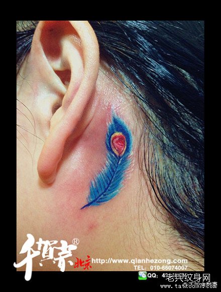 女生耳部小巧的一款彩色羽毛纹身图案