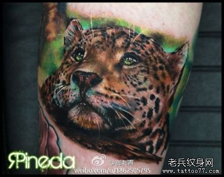 腿部一款经典潮流的彩色豹头纹身图案