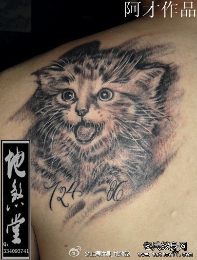 男生后肩背可爱的猫咪纹身图案