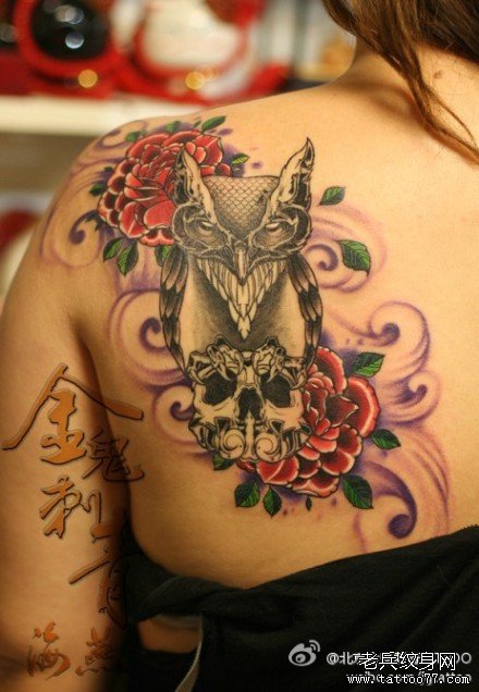 女生后肩背潮流很酷的猫头鹰纹身图案