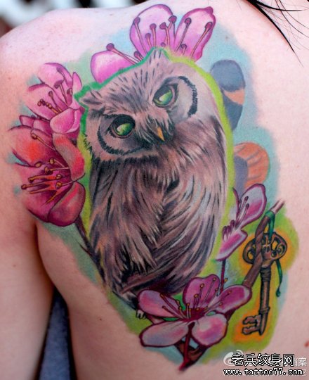 女生后肩背很酷经典的猫头鹰纹身图案