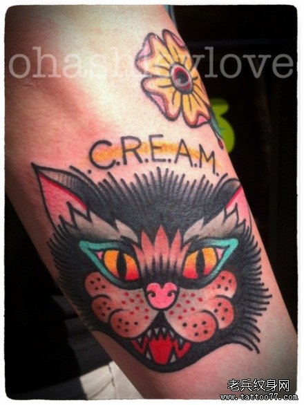 手臂一款潮流的欧美风格的猫咪纹身图案
