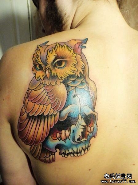 女生肩背时尚很酷的猫头鹰纹身图案