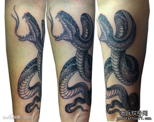 手臂潮流很酷的传统黑灰蛇纹身图案