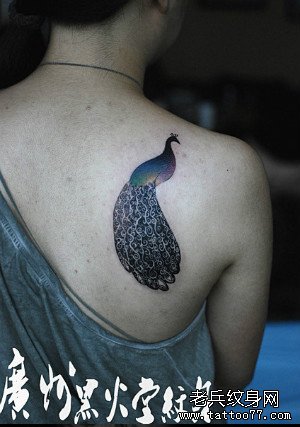 女生肩背潮流时尚的孔雀纹身图案