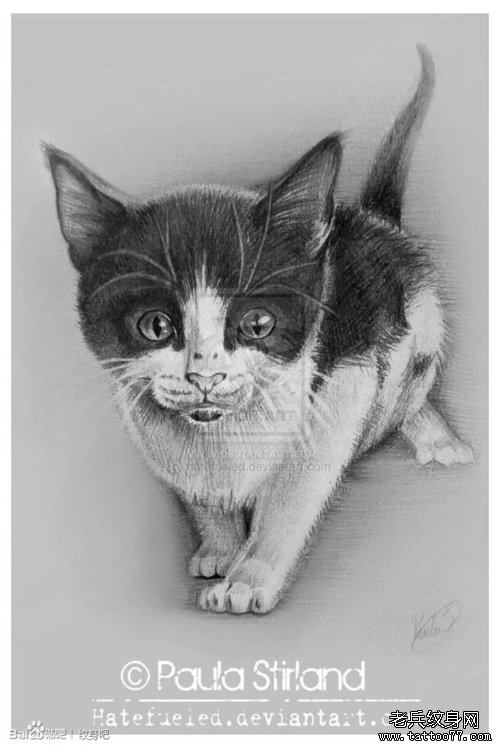 可爱潮流的一款小猫纹身手稿