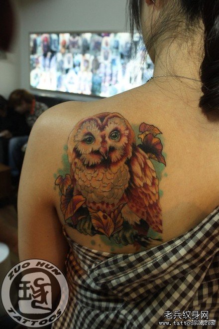 女生肩背好看经典的猫头鹰纹身图案