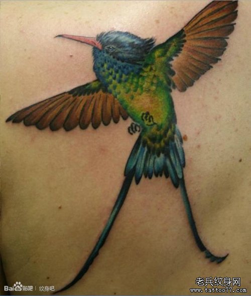 后背经典时尚的一款小鸟纹身图案