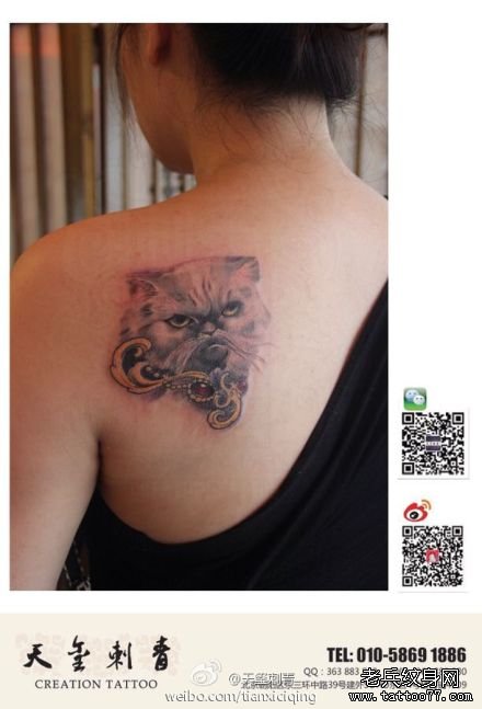 女生肩背时尚经典的猫咪纹身图案