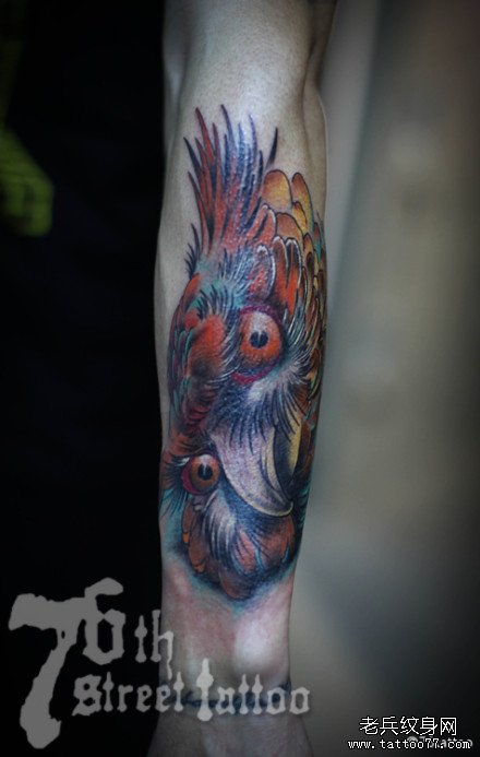手臂时尚经典的一款彩色猫头鹰纹身图案