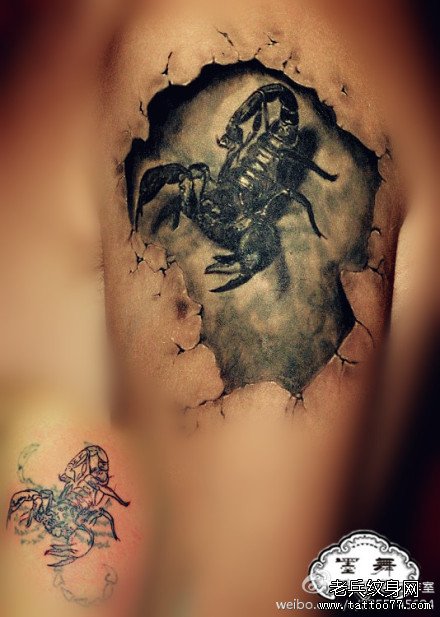 手臂经典很酷的写实蝎子纹身图案