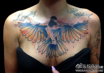 女生前胸经典很帅的一款鸽子纹身图案