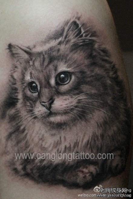 时尚可爱的一款黑灰猫咪纹身图案