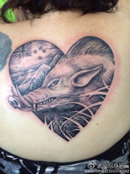 女生后背一款经典的野猪纹身图案