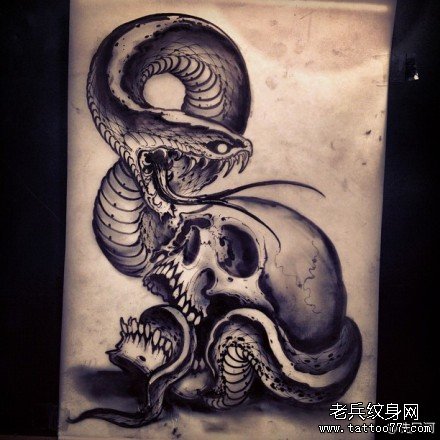 经典帅气的一款蛇与骷髅纹身手稿