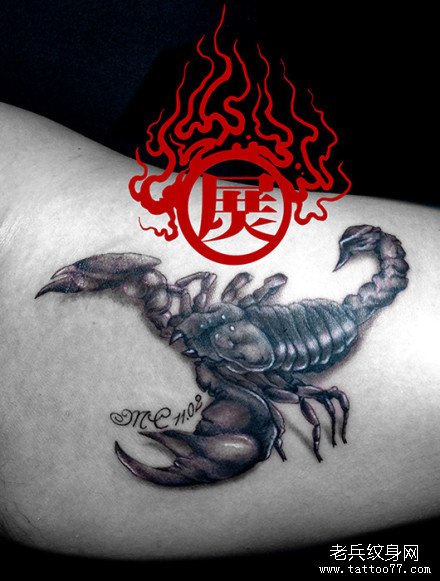 手臂内侧很酷经典的蝎子纹身图案