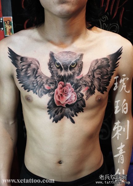 男人前胸很帅超酷的猫头鹰纹身图案