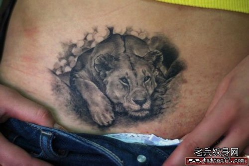 女生腹部时尚经典的狮子纹身图案