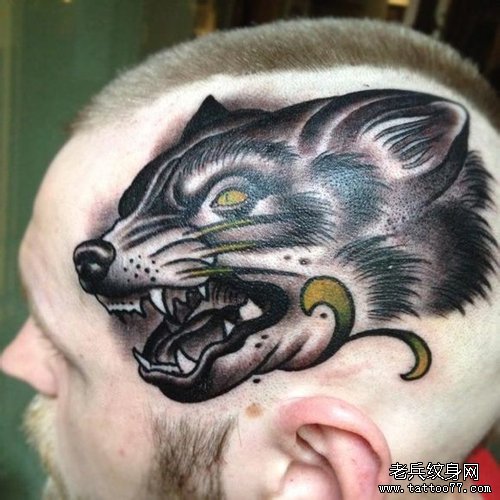 男人头部帅气潮流的狼头纹身图案