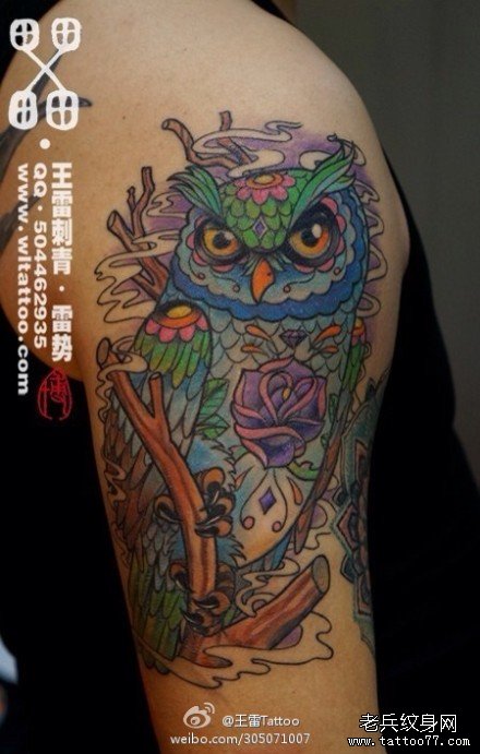 手臂时尚很帅的彩色猫头鹰纹身图案