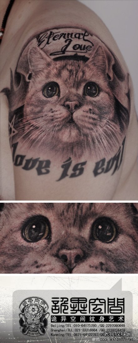 手臂可爱很萌的猫咪纹身图案