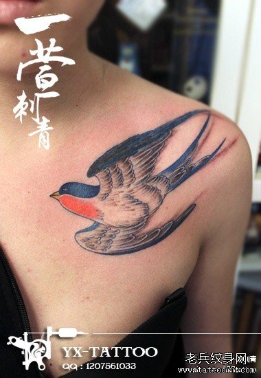女生胸前漂亮潮流的小燕子纹身图案