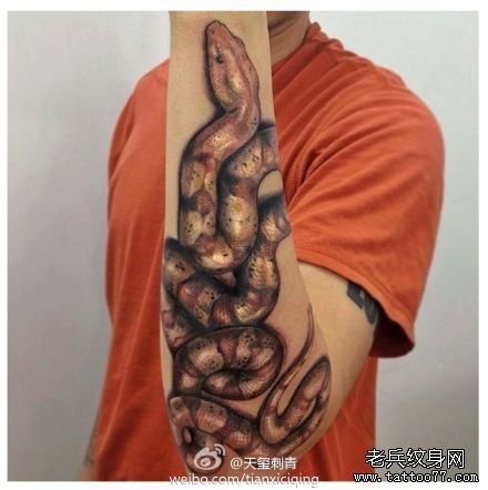 手臂潮流很帅的蛇纹身图案