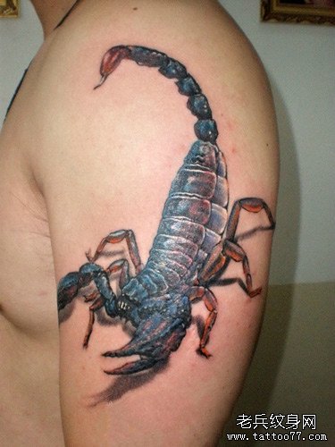 武汉最专业的纹身店为你推荐一款时尚个性的大臂蝎子纹身图案