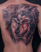 武汉老兵纹身店首席纹身师李哲的满背狼头纹身作品照片