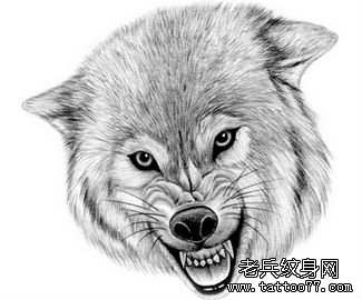 Wolf Tattoo Design