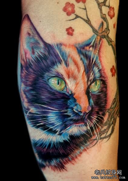 猫纹身图案和人类的历史