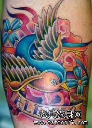 彩色燕子纹身图案作品武汉纹身图片老兵刺青