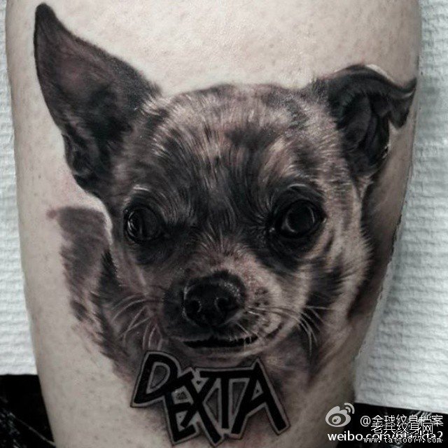 一款可爱的小狗纹身图案