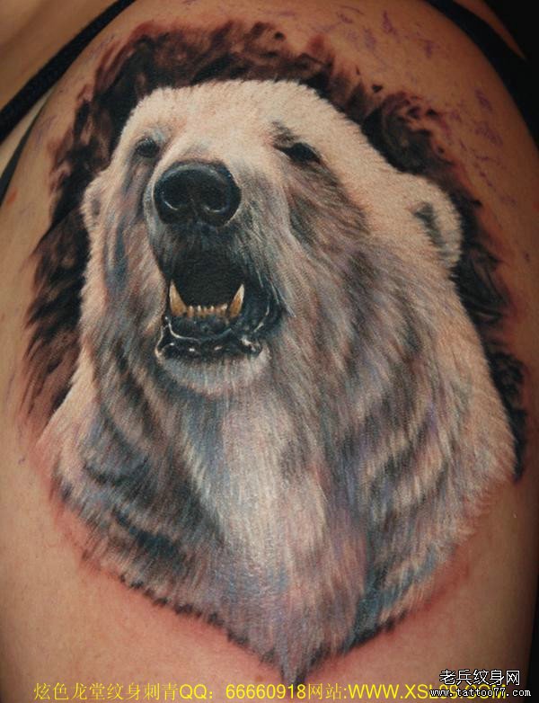 给喜欢北极熊的纹身爱好者推荐一款纹身图案