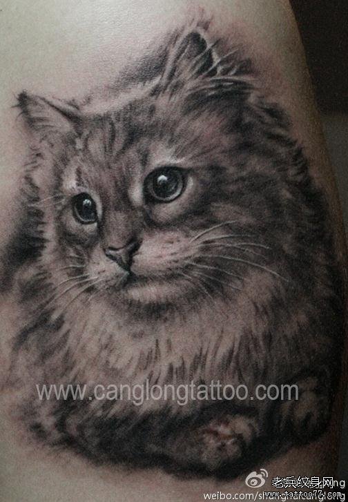 分享一款可爱小猫咪纹身图案