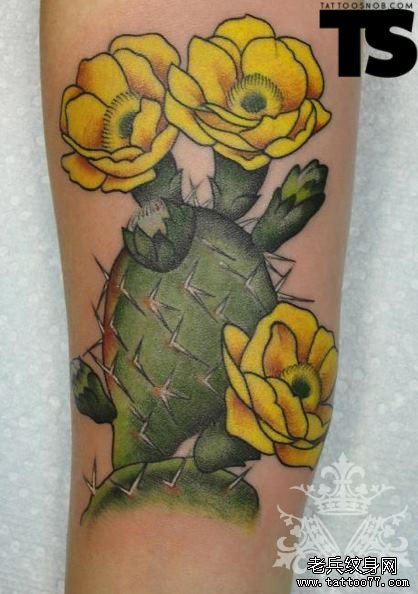 小臂上一款彩色的仙人掌花纹身作品