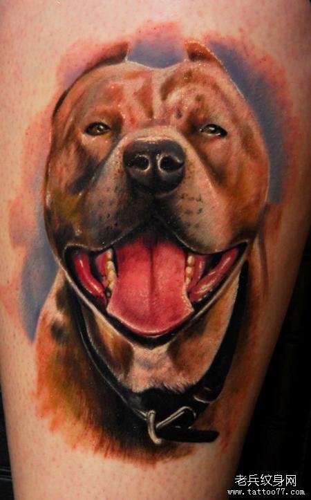 彩色的小狗肖像纹身作品分享