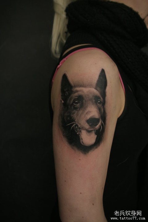 大臂上一款小狗肖像纹身图案