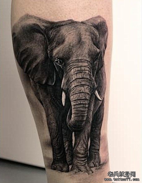 推荐大家欣赏一款大象纹身图案
