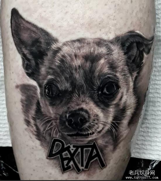 推荐一款小狗肖像纹身图案